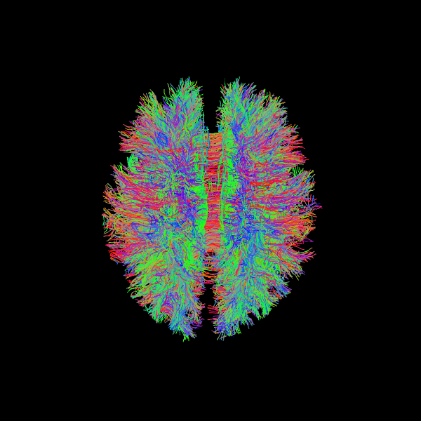 <IPython.core.display.Image object>