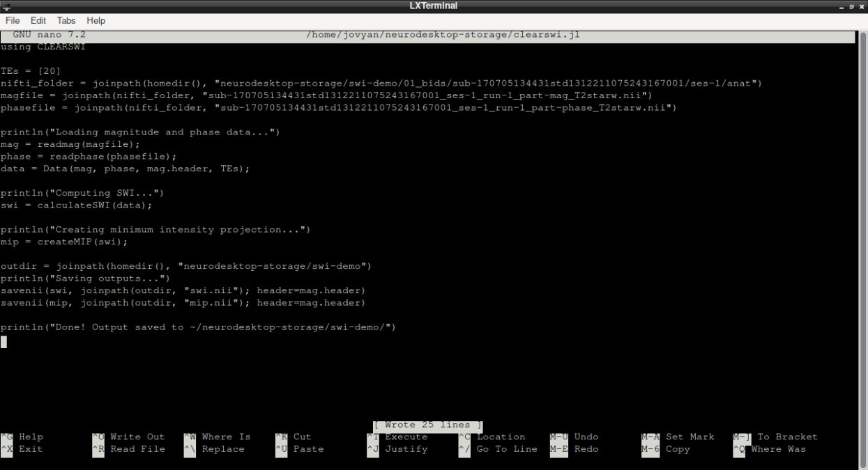 The Neurodesktop terminal with the Julia script