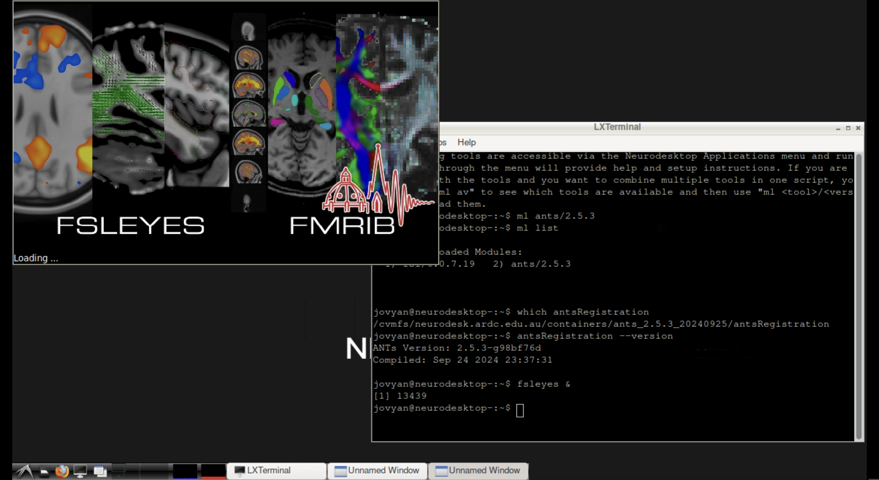 FSLeyes running inside the Neurodesktop environment