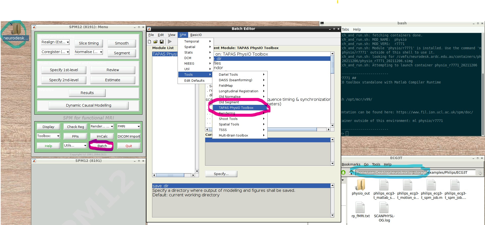 neurodesk with SPM Batch Editor PhysIO