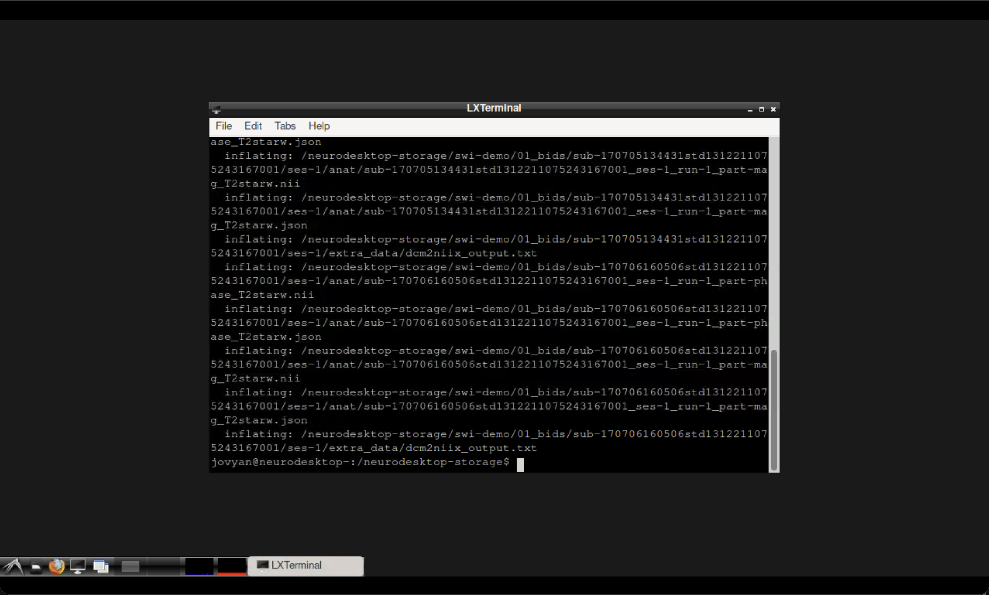 The Neurodesktop terminal outpu