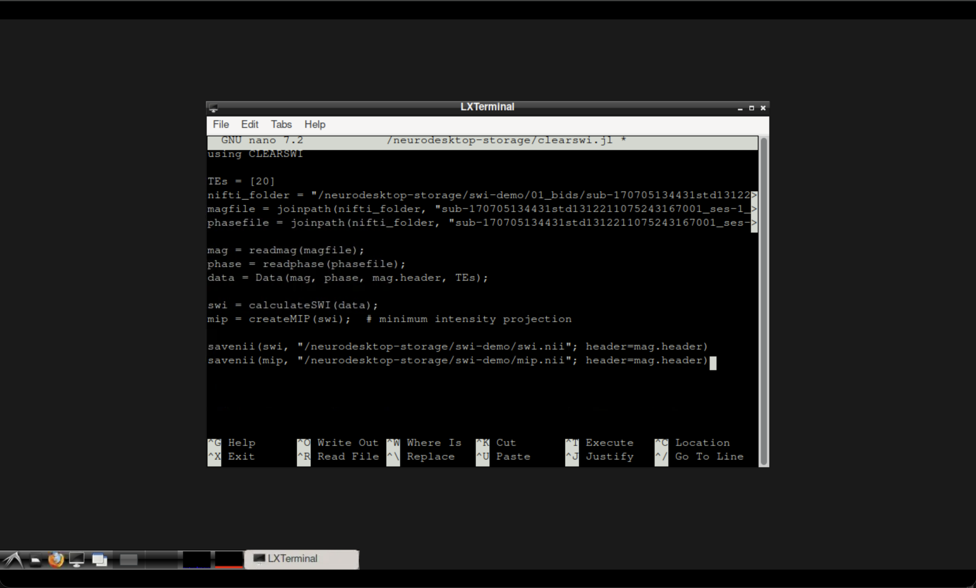 The Neurodesktop terminal with the Julia script