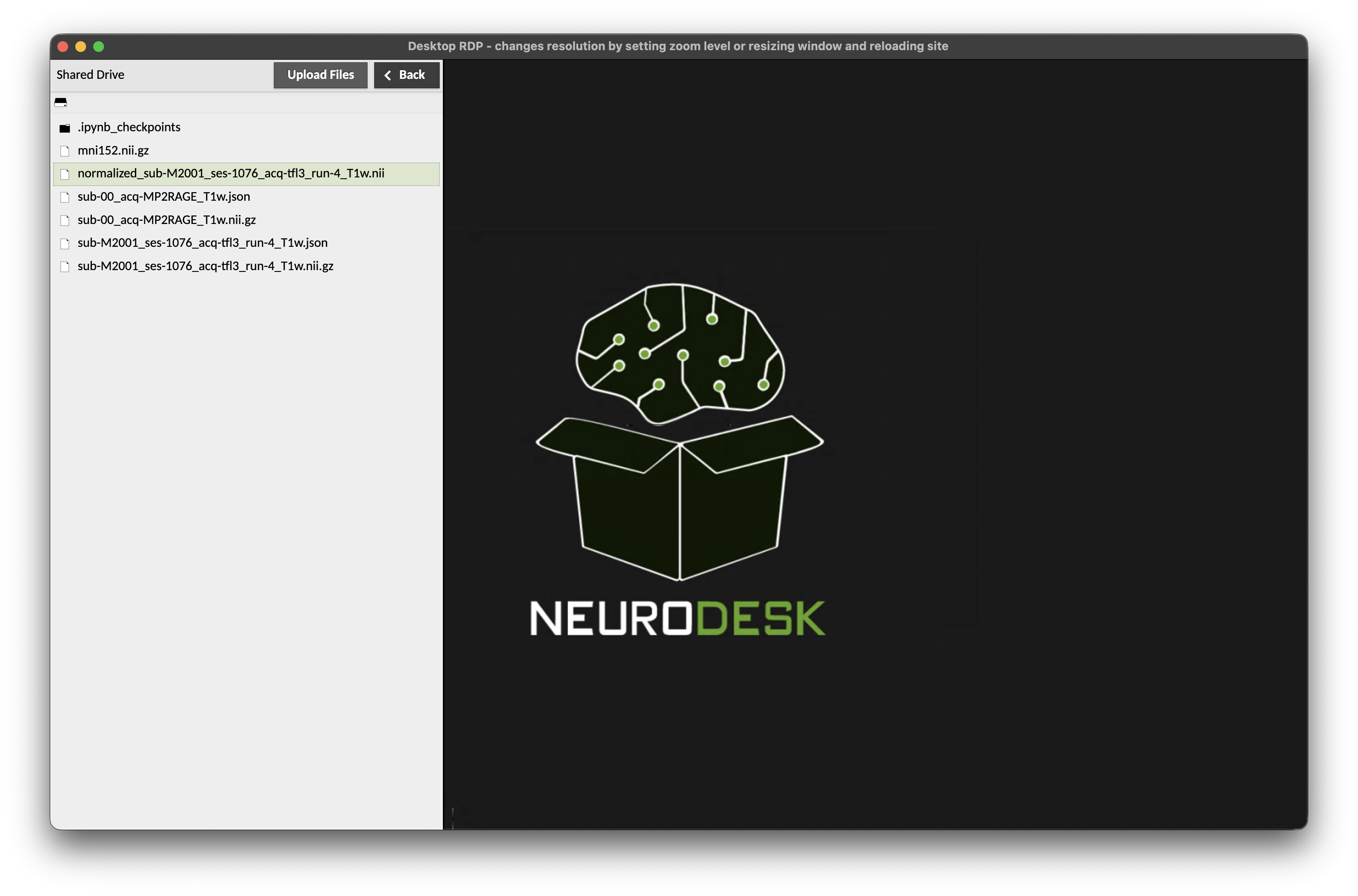 Guacamole Shared Drive panel listing files available for download