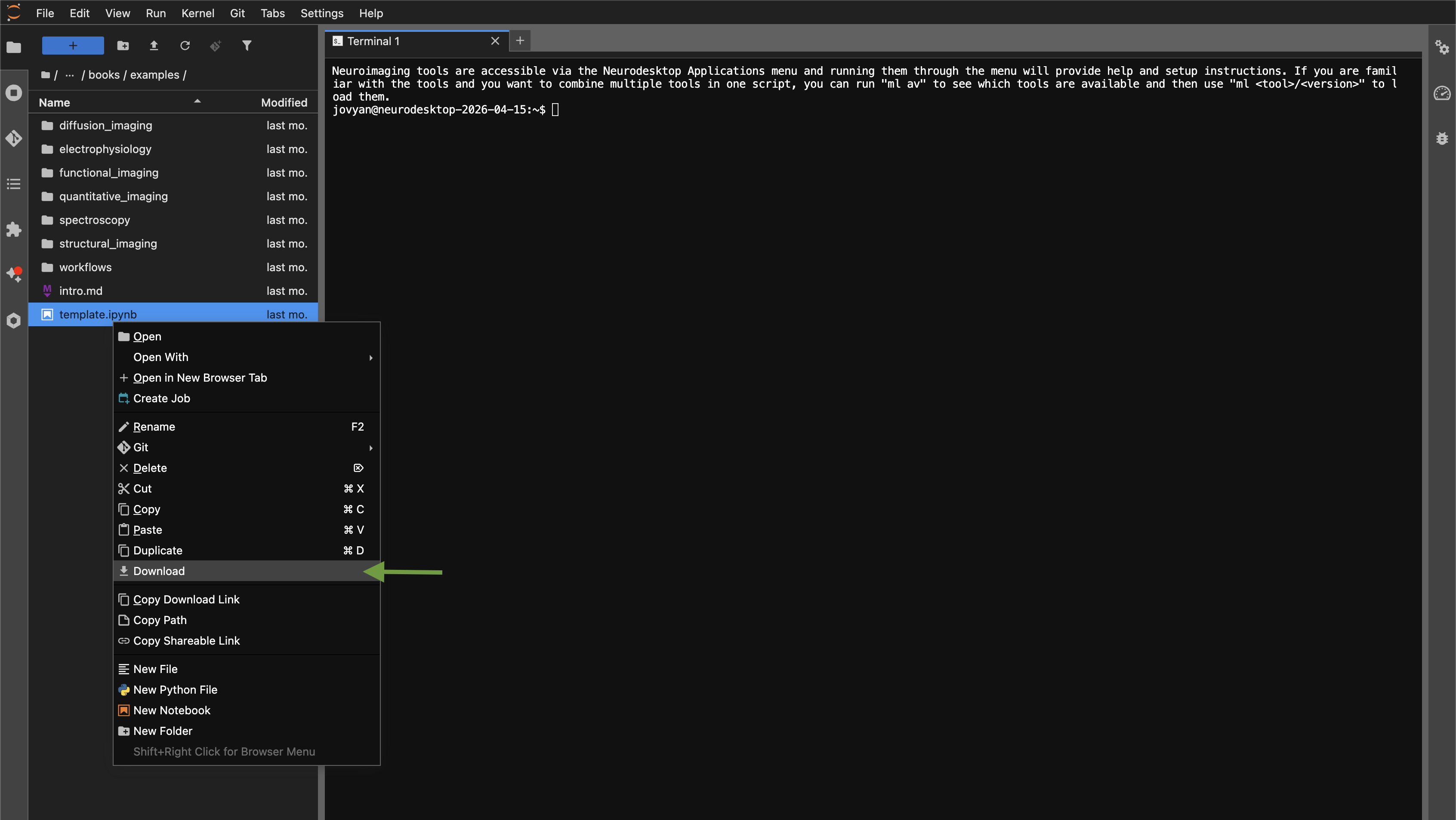 JupyterLab file browser showing the right-click context menu with the Download option