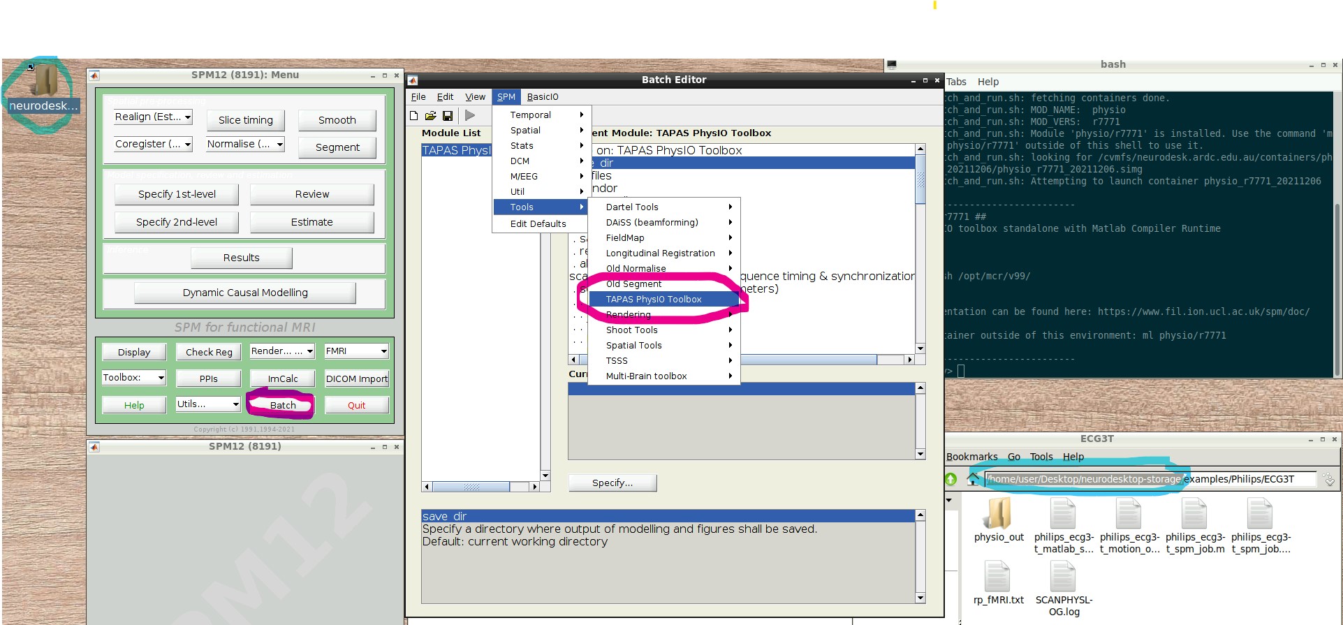 NeuroDesk with SPM Batch Editor PhysIO
