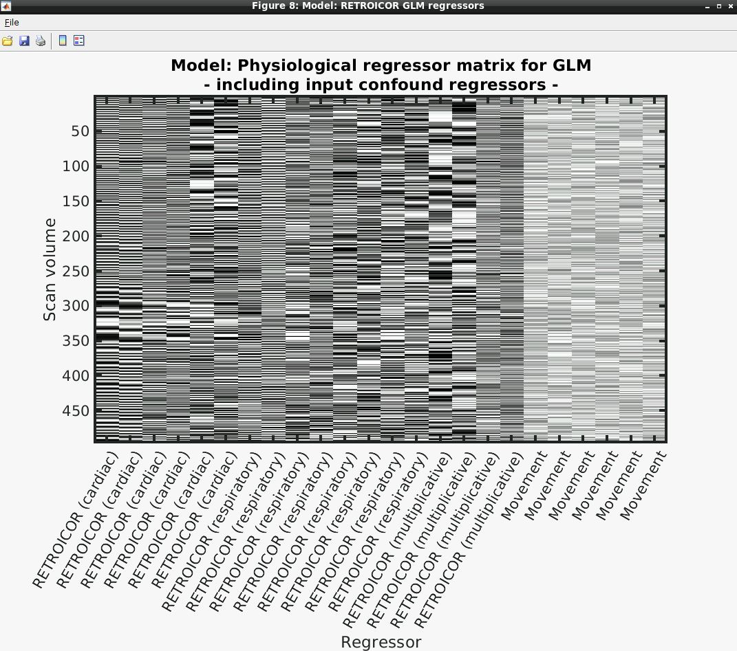 Output Nuisance Regressor Matrix PhysIO